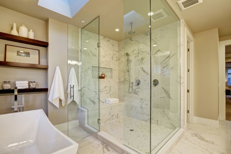 Luxury Shower Niche